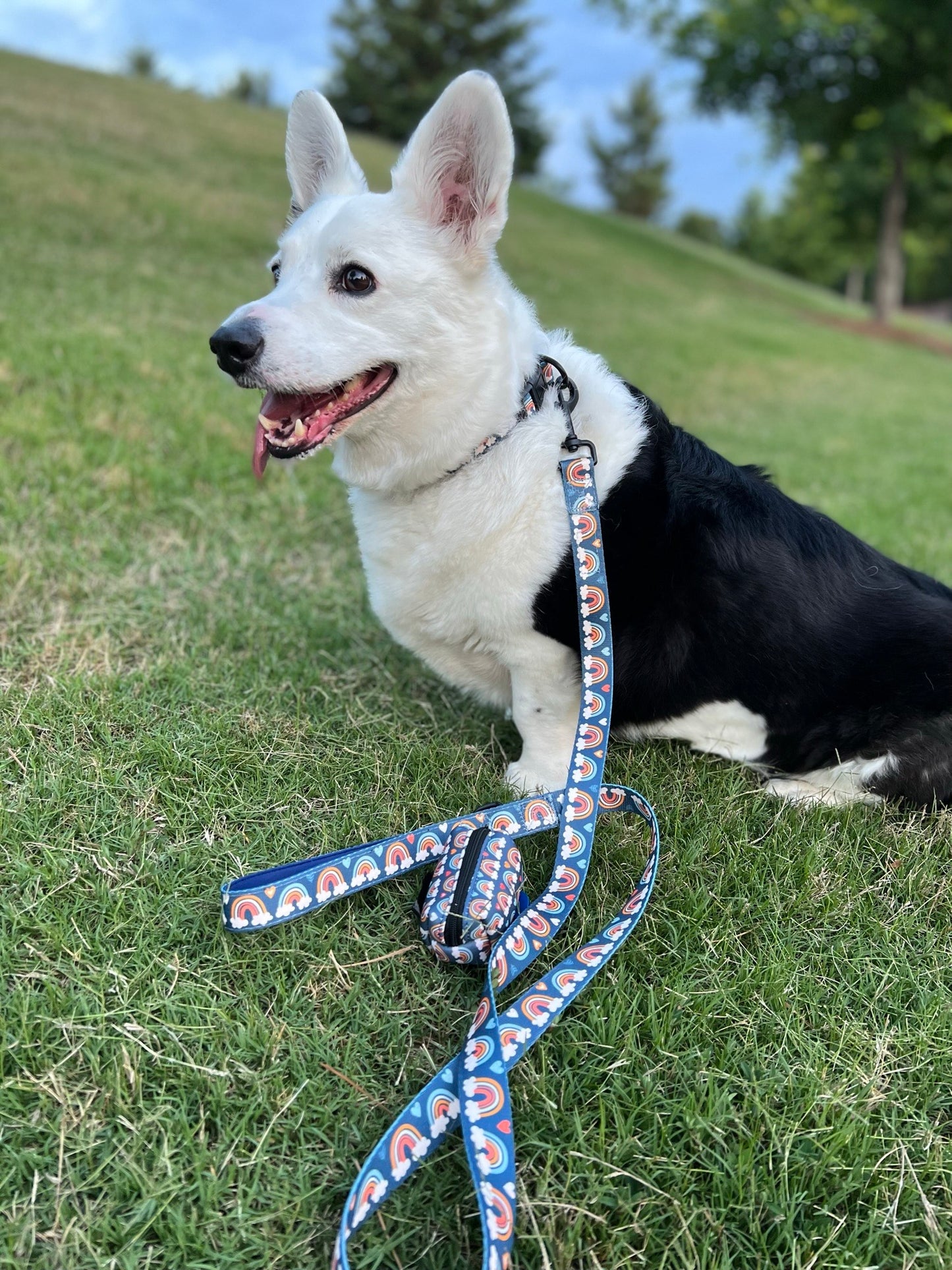 Blue Skies and Rainbows Dog Collar and Leash Set